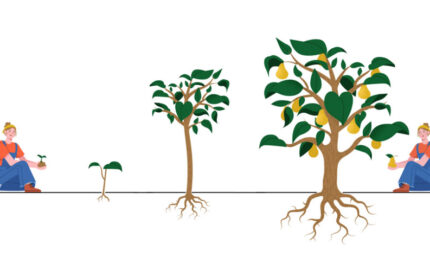 The Journey of the Guardians of Creation Project