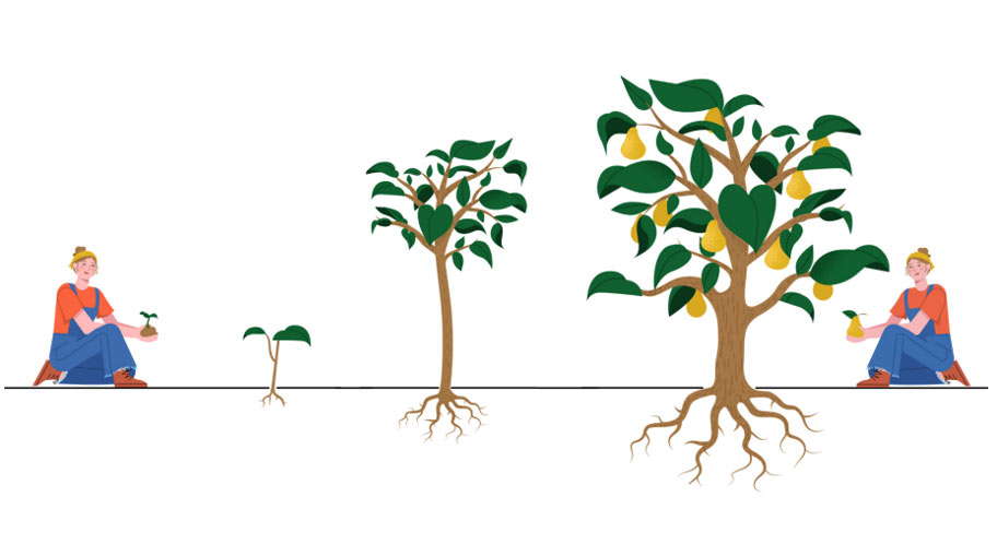The Journey of the Guardians of Creation Project